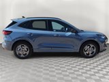 New 2024 Ford Escape ST-Line w/ Equipment Group 301A image 2