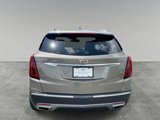 Used 2023 Cadillac XT5 Premium Luxury w/ Technology Package image 4