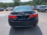 Used 2014 Honda Accord EX-L image 6