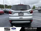 Used 2019 Ford Escape SE image 6