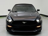 Used 2016 Ford Mustang Premium w/ Equipment Group 201A image 2