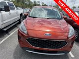 Used 2020 Ford Escape SE image 2