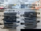 New 2025 Ford Expedition Max Platinum image 2