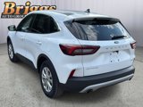 Used 2023 Ford Escape Active w/ Tech Pack #1 image 3