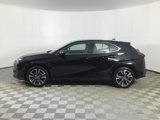 Used 2023 Lexus UX 250h AWD w/ Premium Package image 4