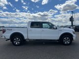 Used 2014 Ford F150 FX4 w/ Equipment Group 402A Luxury image 4