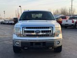 Used 2014 Ford F150 XLT image 2