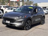 Used 2022 Ford Escape SE w/ SE Sport Appearance Package image 5