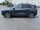 Used 2022 Ford Escape Titanium w/ Titanium Premium Package image 3