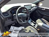 Used 2023 Ford Escape ST-Line w/ Tech Pack #1 image 5