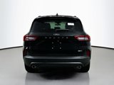 New 2025 Ford Escape ST-Line Elite w/ Tech Pack #1 image 5