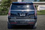 Used 2020 Cadillac Escalade Platinum image 5