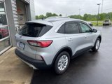 Used 2020 Ford Escape SE image 3