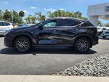 Used 2024 Lexus NX 250 FWD w/ Premium Package image 4