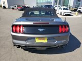 Used 2023 Ford Mustang Premium image 4