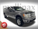 Used 2013 Ford F150 XLT w/ Luxury Equipment Group image 1