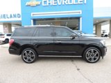 Used 2019 Ford Expedition Limited w/ Texas Edition Package image 2