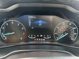 Used 2020 Ford Transit Connect XLT image 4