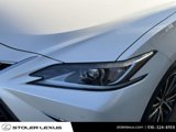 Used 2022 Lexus ES 300h w/ Premium Package image 6