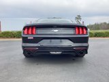 Used 2019 Ford Mustang Coupe image 3
