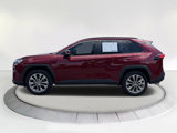 Used 2020 Toyota RAV4 XLE Premium image 5