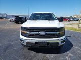 New 2024 Ford F150 XLT w/ Equipment Group 302A MID image 3