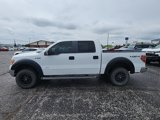 Used 2013 Ford F150 XLT w/ XLT Convenience Pkg image 4