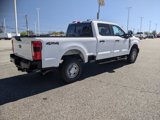 Certified 2023 Ford F250 XL w/ 360-Degree Camera Package image 4