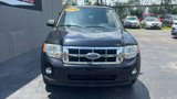 Used 2008 Ford Escape XLT image 3