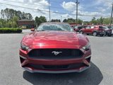 Used 2019 Ford Mustang Coupe w/ Equipment Group 101A image 3