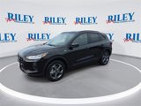 New 2025 Ford Escape ST-Line w/ Cold Weather Package image 5
