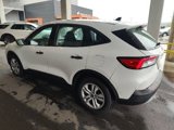 Used 2020 Ford Escape S image 4
