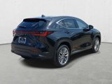 New 2025 Lexus NX 350 AWD w/ Accessory Package (2T) image 5
