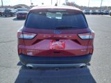 Used 2021 Ford Escape Titanium w/ Titanium Elite Package image 4