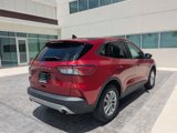 Used 2020 Ford Escape SE image 5