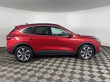 Used 2024 Ford Escape Platinum image 4