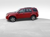 Used 2011 Ford Escape XLT w/ 203A Rapid Spec Order Code image 5