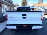 Used 2014 Ford F150 STX w/ Equipment Group 201A Mid image 4