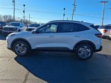 New 2025 Ford Escape ST-Line w/ Tech Pack #1 image 4