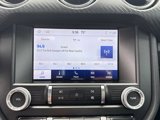 Used 2023 Ford Mustang Coupe w/ Equipment Group 101A image 4