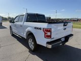 Used 2020 Ford F150 XLT w/ Equipment Group 301A Mid image 5