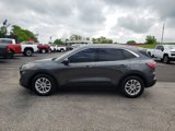 Used 2020 Ford Escape SE image 4