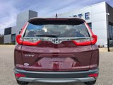 Used 2019 Honda CR-V EX image 5