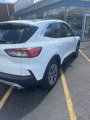 Used 2022 Ford Escape SEL image 6