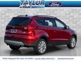 Used 2019 Ford Escape SEL image 3
