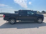 Used 2016 Ford F150 XLT w/ Equipment Group 302A Luxury image 3
