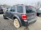 Used 2009 Ford Escape XLT image 4