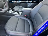 New 2024 Ford Escape ST-Line Select w/ Tech Pack #1 image 4