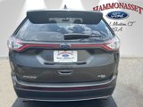 Used 2016 Ford Edge SEL w/ Equipment Group 201A image 4