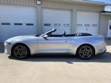 Used 2022 Ford Mustang Premium image 6